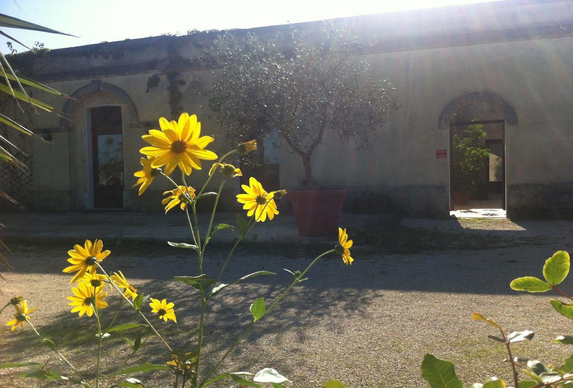 Bio-Agriturismo Masseria La Palombara Salve Exterior photo